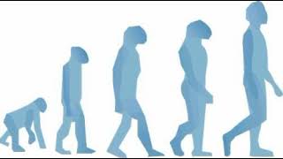 Mate Choice from Evolutionary Biology